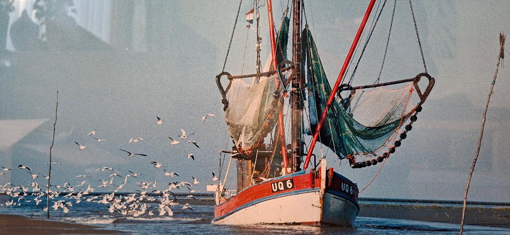 lijst met vissersboot UQ6 Hejo Usquert, visser, visserij, Ophalen, Gebruikt, 50 tot 75 cm, Foto of Poster