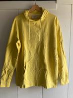 Heren trui - Legends - maat L, Ophalen of Verzenden, Zo goed als nieuw, Maat 52/54 (L), Geel