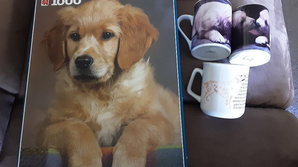 Golden retriever, Ophalen, Nieuw