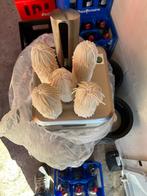 Professionele Glazenpoleermachine met 5 Borstels, Ophalen, Gebruikt, 60 cm of meer