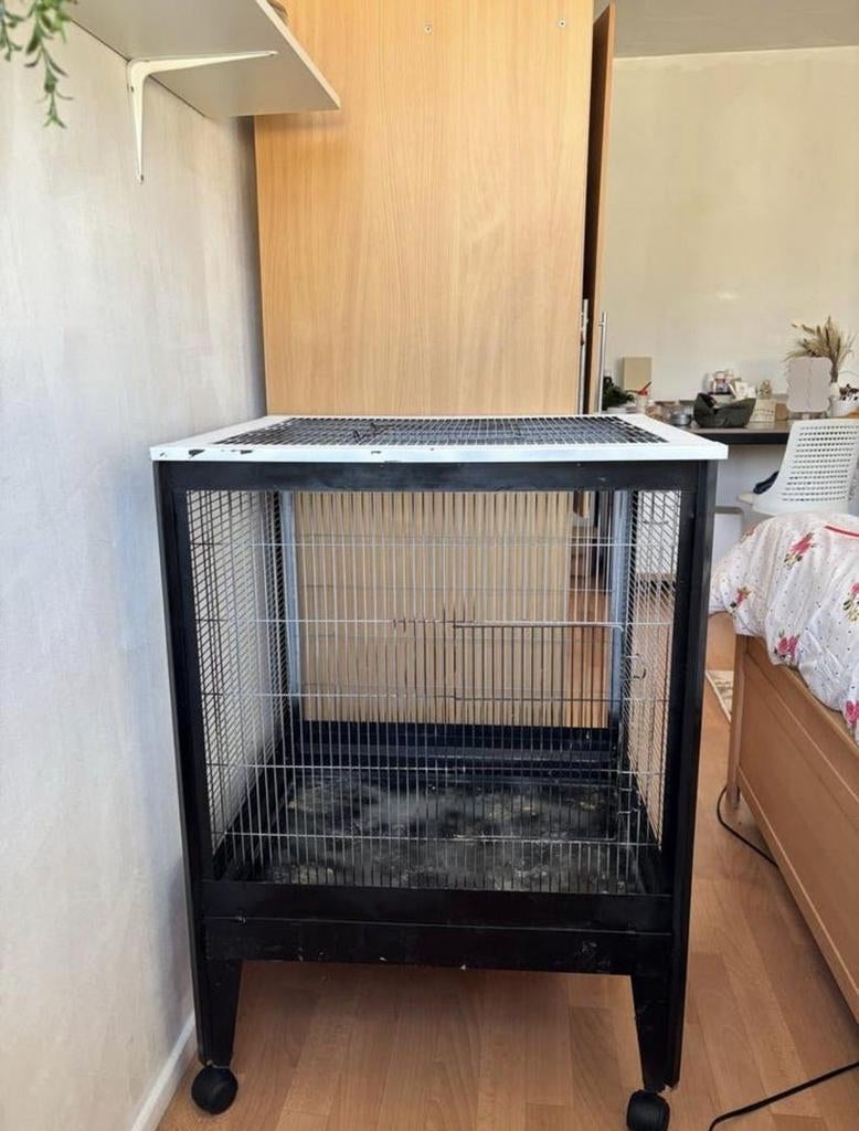 Ratten of fretten kooi, Dieren en Toebehoren, Knaagdieren en Konijnen | Hokken en Kooien, Gebruikt, Kooi, 90 cm of meer, 75 tot 110 cm