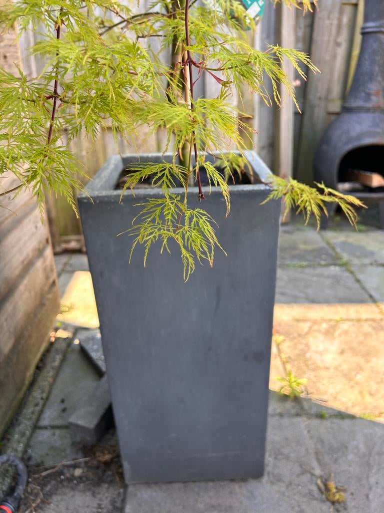 4 Grijze Plantenbakken (2 horizontaal, 2 verticaal) - T.E.A., Ophalen, Gebruikt, 60 tot 100 cm, Beton