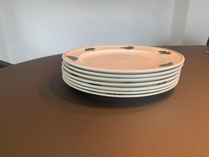 Royal  Boch aquarelle borden, Huis en Inrichting, Keuken | Servies, Nieuw, Bord(en), Overige stijlen, Aardewerk, Ophalen