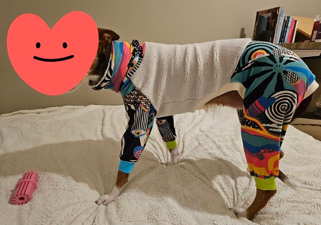 Pyama trui windhond Podenco Whippet, Ophalen, Nieuw