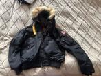 Parajumper Goby Jas - XL - Origineel, Kleding | Heren, Jassen | Zomer, Ophalen of Verzenden, Gedragen, Maat 56/58 (XL), Zwart