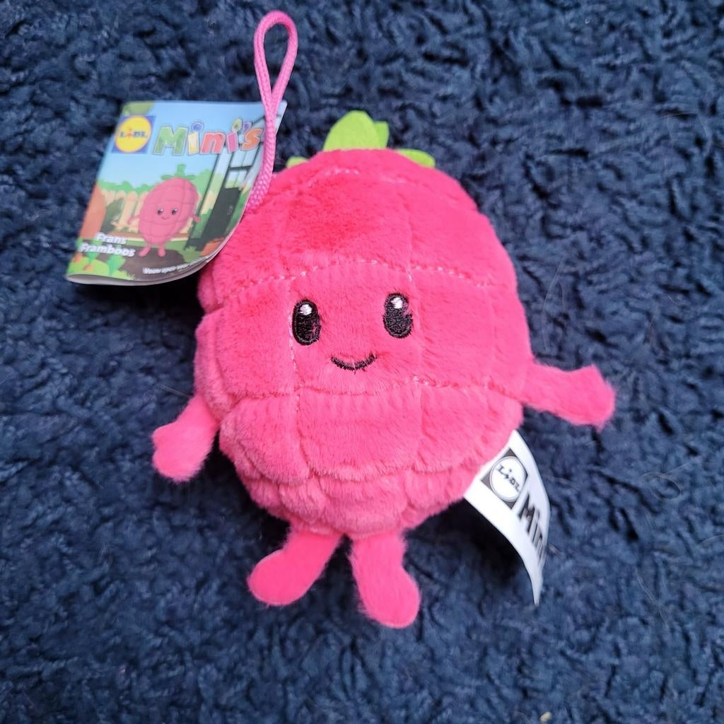 Frans Framboos Lidl Mini, Ophalen of Verzenden