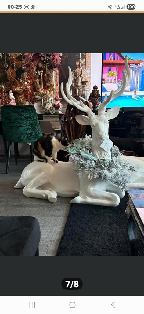 Schitterend groot hert met krans
1.30m x 1.30m, Verzamelen, Beelden en Beeldjes, Ophalen, Zo goed als nieuw, Dier