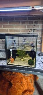 Aquarium 54 liter, Ophalen, Zo goed als nieuw