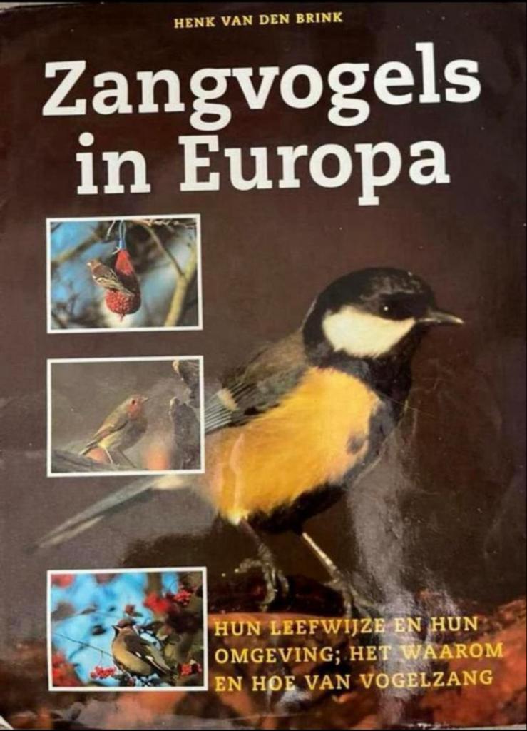 Zangvogels in Europa - H. van den Brink, Ophalen of Verzenden, Zo goed als nieuw, Vogels
