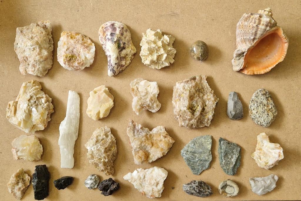 Verzameling Mineralen, schelpen, koraal, stenen, Ophalen of Verzenden, Mineraal