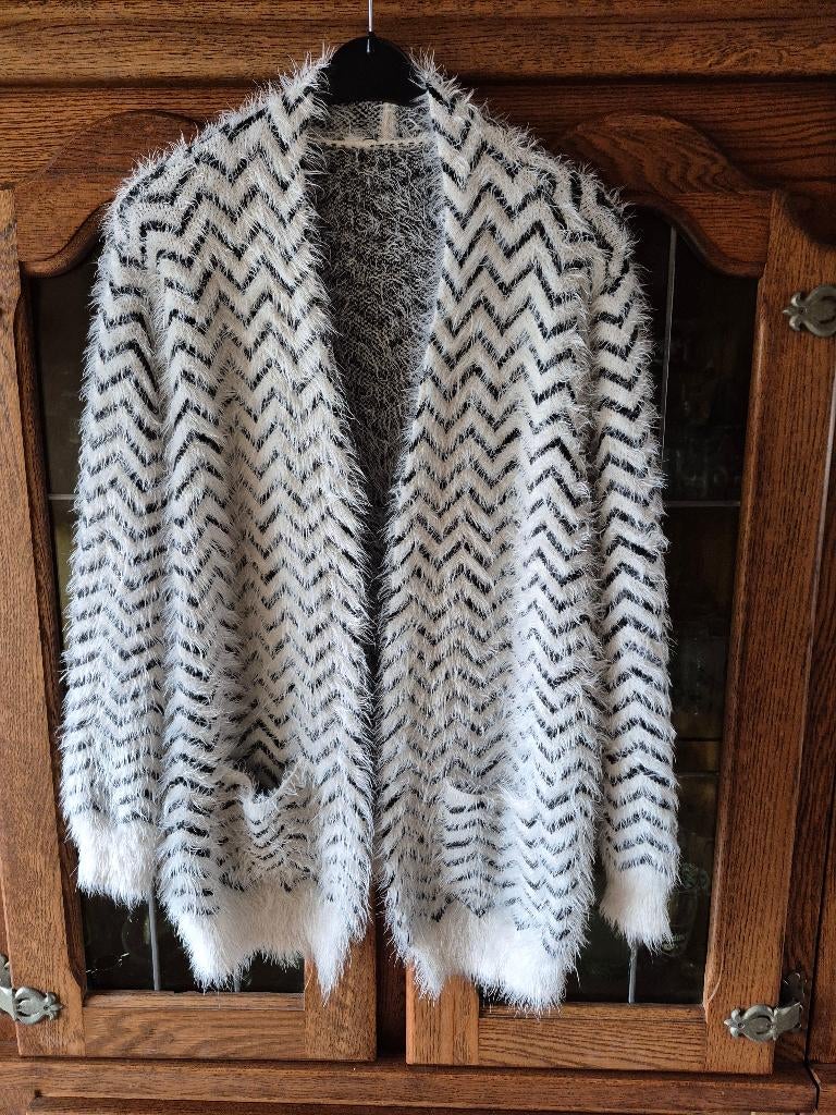 Mooi Room Wit -Zwart Vest Maat 48/50, Kleding | Dames, Wit, Maat 46/48 (XL) of groter, Nieuw, Ophalen of Verzenden