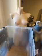 Diverse paspoppen en torso's te koop, Hobby en Vrije tijd, Naaien en Fournituren, Ophalen