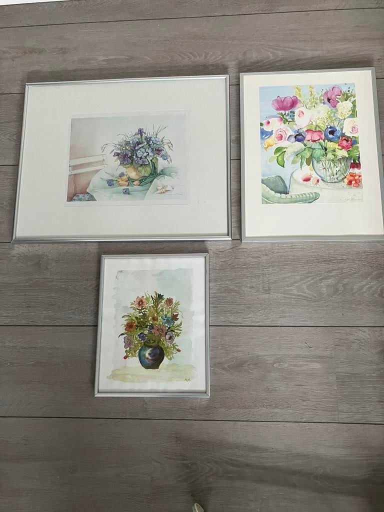 3 aquarellen in aluminium lijst zie omschrijving afmetingen, Ophalen of Verzenden, Zo goed als nieuw, Schilderij, Minder dan 50 cm