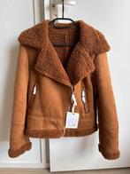Camel kleur korte teddy gevoerde suède lammy/shearling jas M, Ophalen of Verzenden, Nieuw, Maat 38/40 (M), Bruin