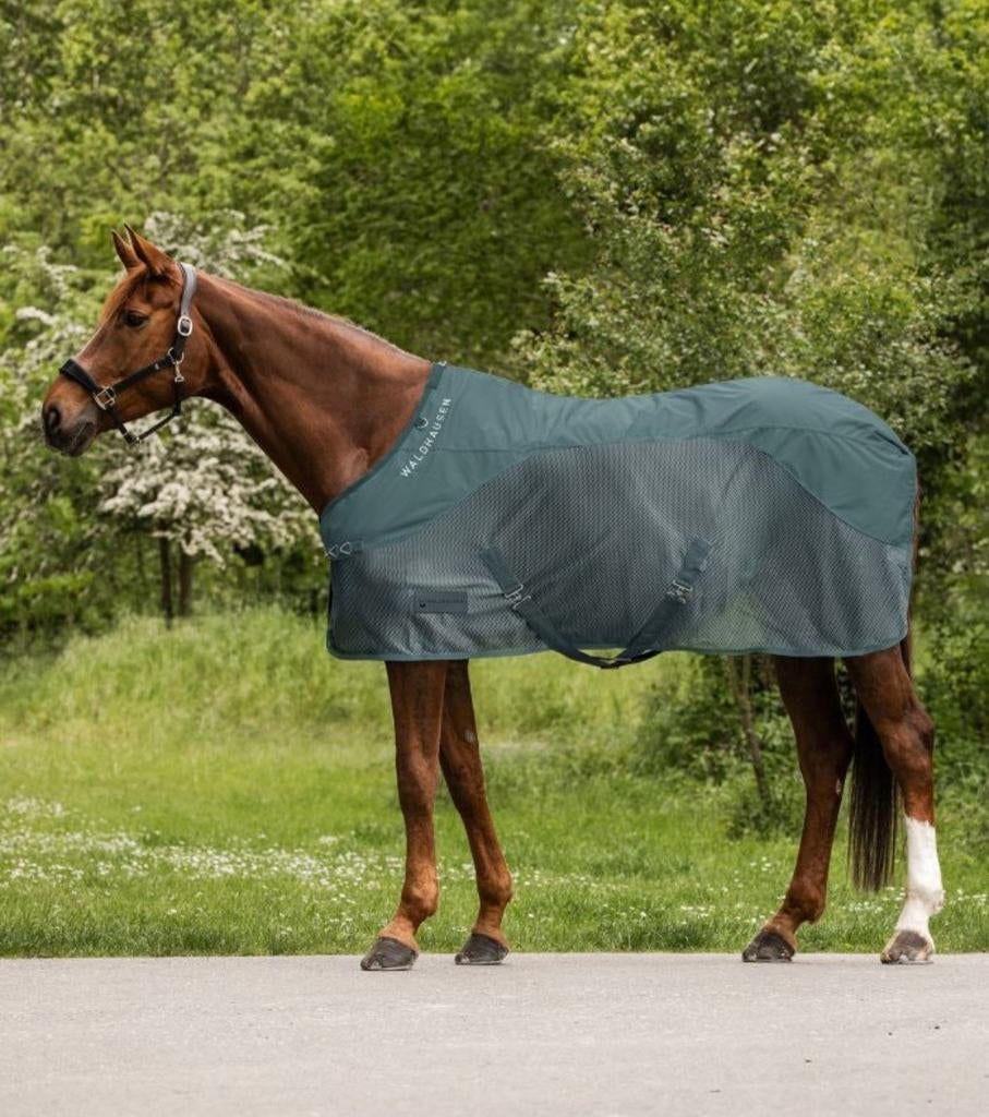 Te koop Regen-vliegendeken van Waldhausen maat 135, Dieren en Toebehoren, Paarden en Pony's | Dekens en Dekjes, Ophalen, Nieuw