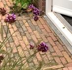 10 m2 klinkers, Ophalen, Gebruikt, Beton, Klinkers