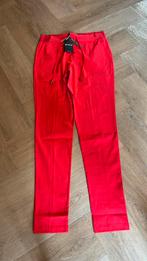 Dames broek maat XL Mi Piace, Maat 46/48 (XL) of groter, Nieuw, Ophalen of Verzenden, Lang