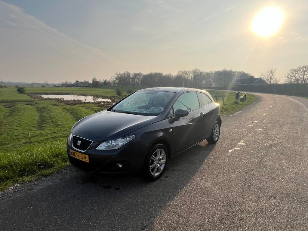 Seat Ibiza 1.2 51KW 3DRS 2010 Grijs, Auto's, Voorwielaandrijving, 1198 cc, Ibiza, Handgeschakeld