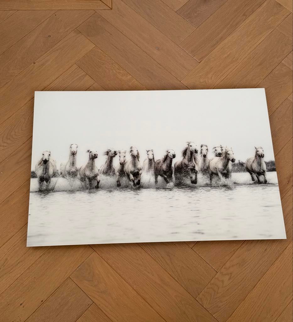 YellowKorner Rodney Bursiel - Horse Power (3/500), Ophalen