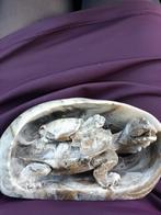 Drakenschildpad van natuursteen, Ophalen of Verzenden, Zilver