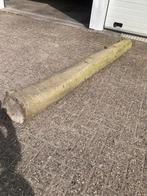 Hulst stam voor zaaghout houtdraaier, Ophalen, 25 tot 50 mm, Overige typen, Zo goed als nieuw