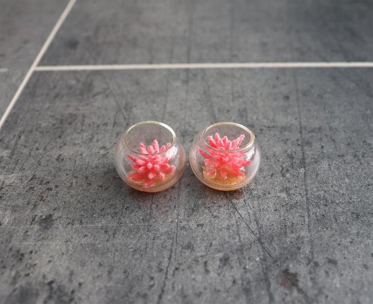 Plant in glazen kom plantje miniatuur nieuw 1:12 Rood, Verzamelen, Poppenhuizen en Toebehoren, Nieuw, Decoratie, Ophalen of Verzenden