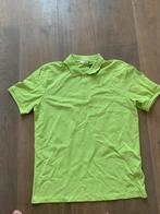 Pollshirts maat L, Ophalen of Verzenden, Nieuw, Oranje