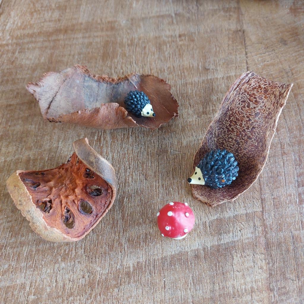 Kleine egeltjes met natuurlijke decoratie, Ophalen