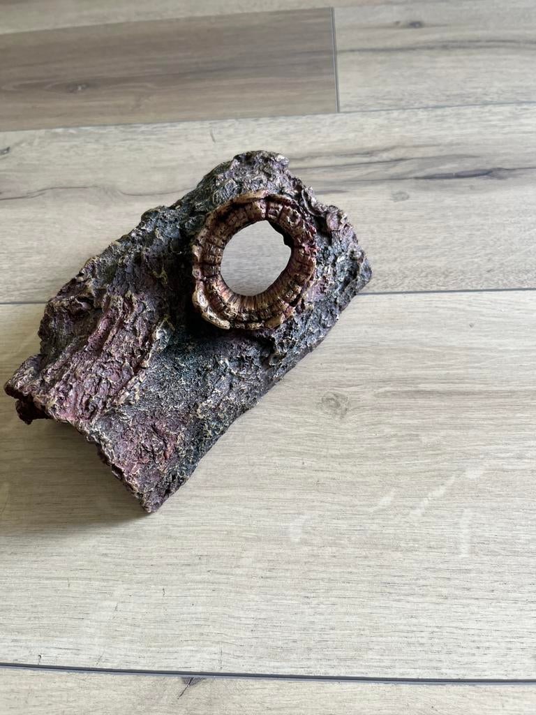 Boomstronk  voor knaagdieren, Januari, Geslacht onbekend, Overige typen