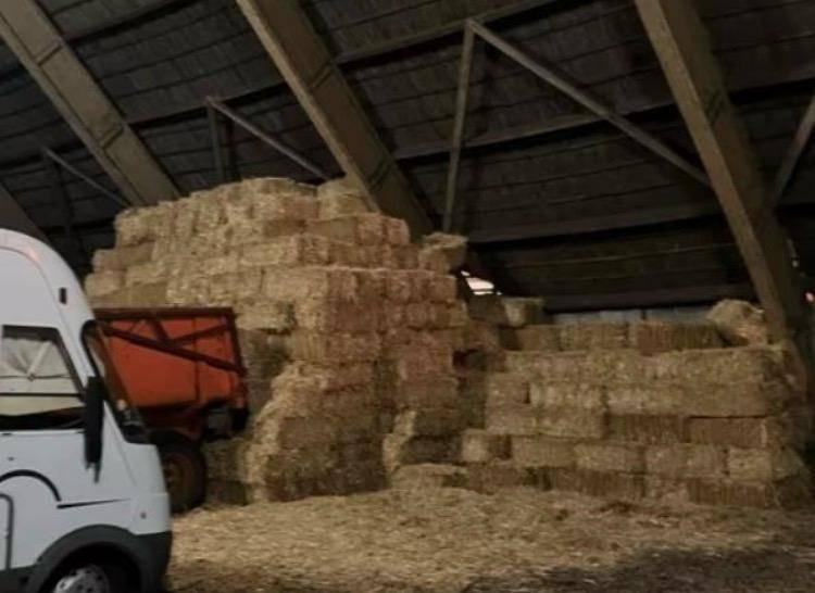 mooi gersten stro, Ophalen, Nieuw