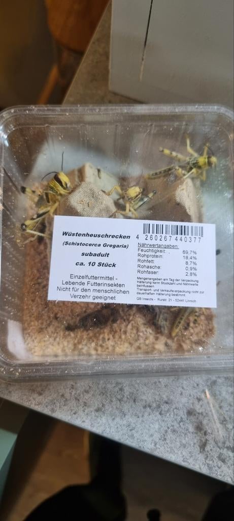 Woestijn sprinkhanen, Dieren en Toebehoren, Overige soorten