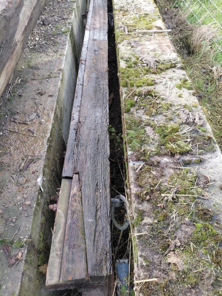 Biels harthout, Ophalen of Verzenden, 250 cm of meer, Balken