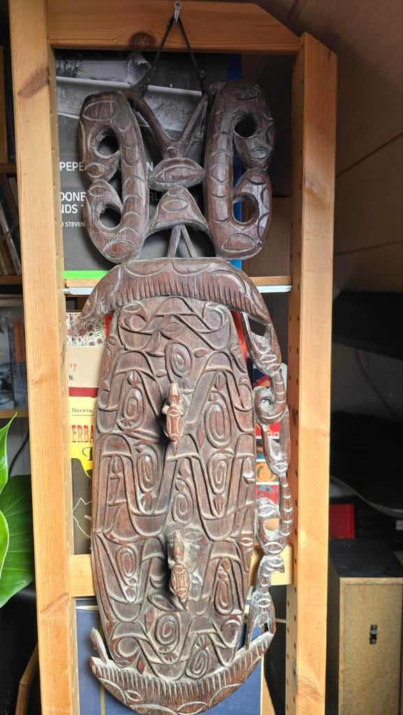 Houten schild Nieuw Guinea, Antiek en Kunst, Ophalen of Verzenden