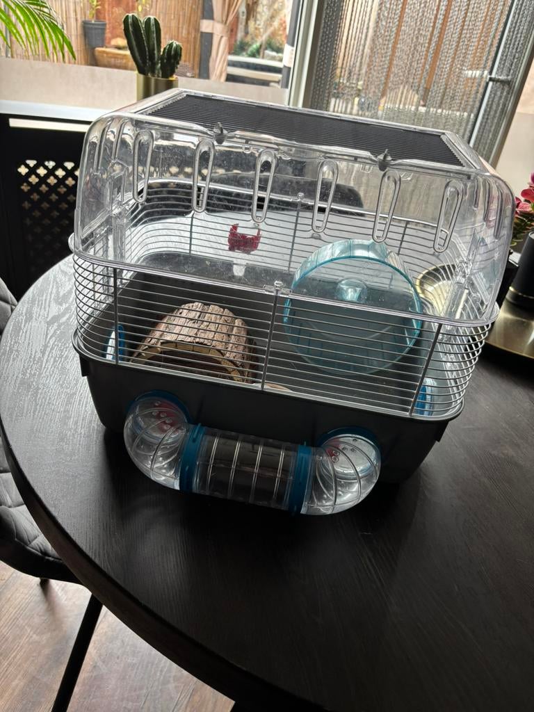 Mooie complete hamsterhok, Dieren en Toebehoren, Kooi, Minder dan 75 cm, Zo goed als nieuw, Ophalen