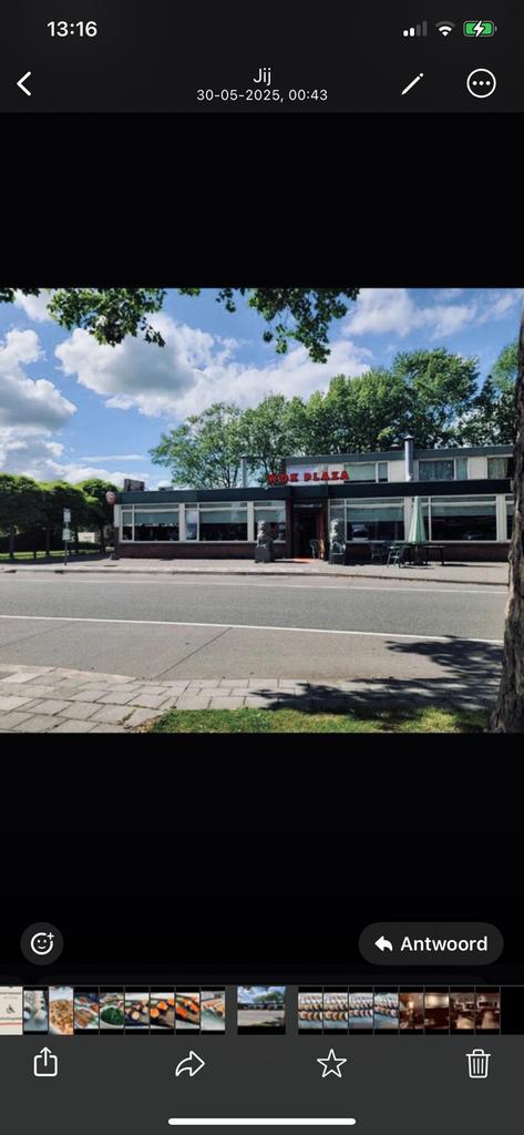 Grote chinese stenen leeuwen tuin decoratie, Ophalen, Gebruikt, Steen, Dierenbeeld