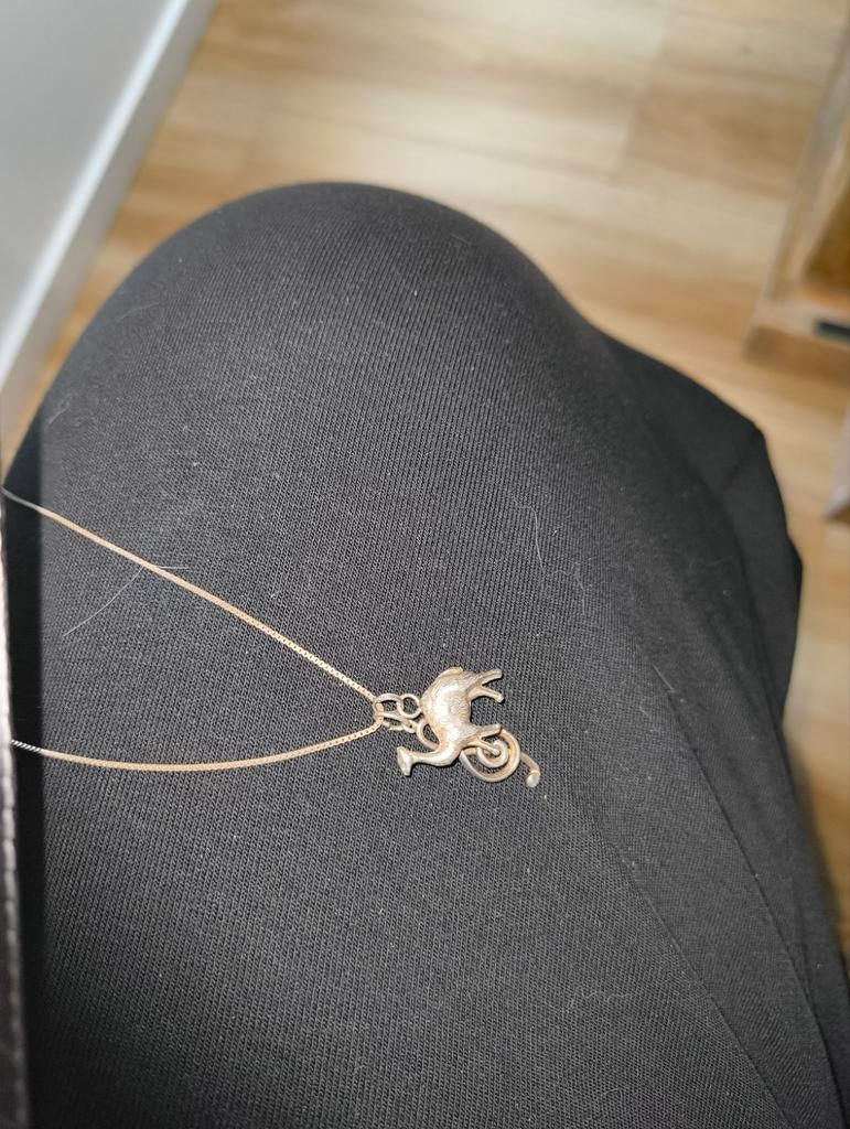 Zilveren ketting met hanger, Ophalen, Met hanger, Gebruikt, Zilver