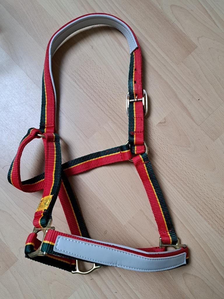 Last minute aanbieding voor de barokke paardendag, Ophalen of Verzenden, Nieuw, Overige soorten