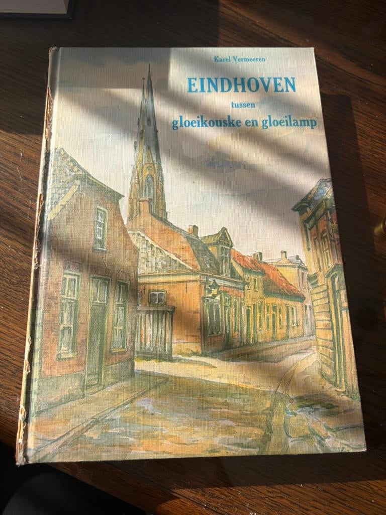 Boek: Eindhoven tussen gloeikouske en gloeilamp, Boeken, Geschiedenis | Stad en Regio, Ophalen of Verzenden, Gelezen