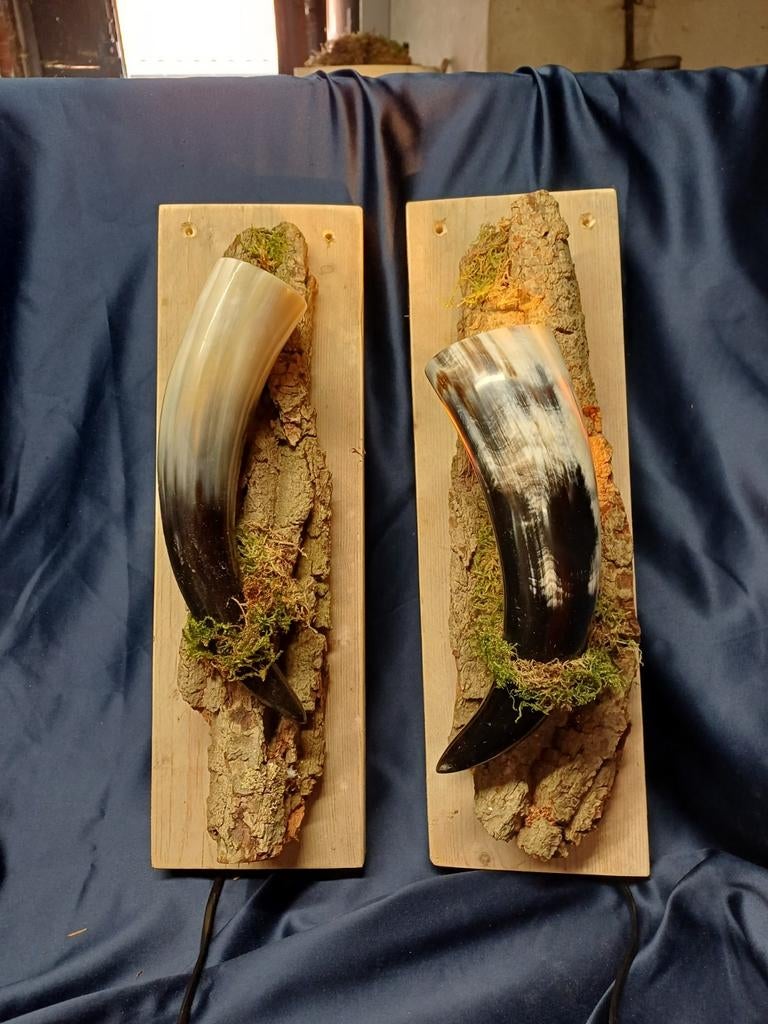 2 prachtige wandlampen van oude koeienhoorn, Antiek en Kunst, Ophalen of Verzenden