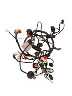 Kabelboom ecu delphi origineel GTS Toscana, Gebruikt, Ophalen of Verzenden