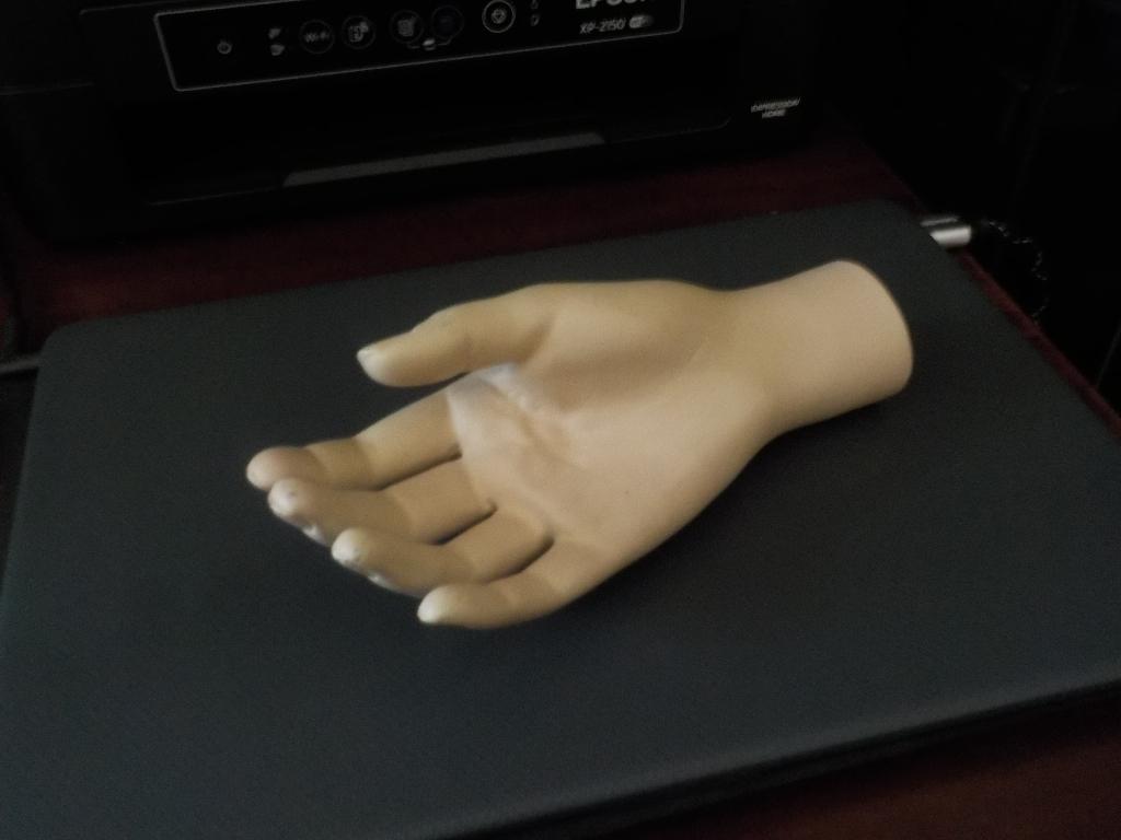 hand voor stolp .mannequin hand ,curiosa, Ophalen