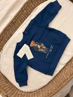 Ralph Lauren Polo Bear Sweater - Nieuw met kaartjes, Ophalen of Verzenden, Nieuw, Jongetje of Meisje