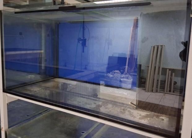 Nog diverse aquariums!!! strak verlijmd en vrij nieuw!!!, Dieren en Toebehoren, Vissen | Aquaria en Toebehoren, Ophalen, Zo goed als nieuw