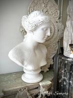 Per Sempre,Prachtige Grote Oude Gipsen Buste Venus van Milo, Ophalen