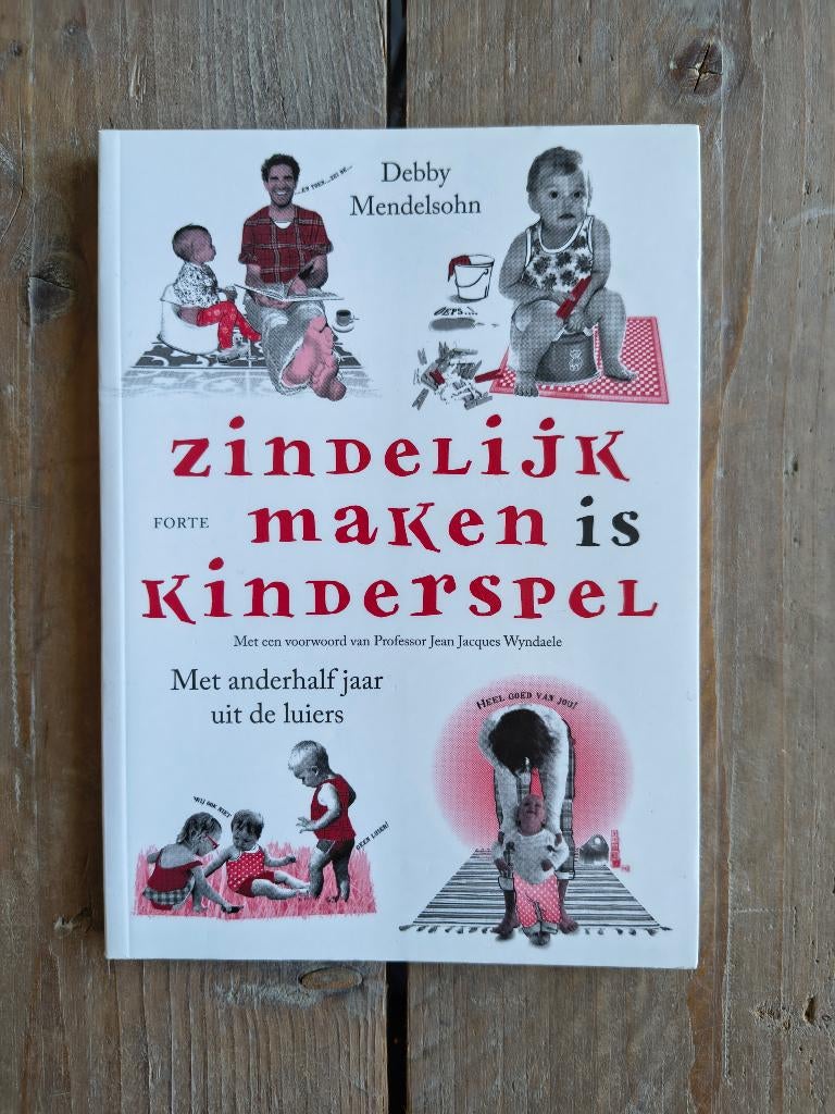 Zindelijk maken is kinderspel - D. Mendelsohn 9789058779472, Ophalen of Verzenden, Gelezen, Zwangerschap en Bevalling, Debby Mendelsohn