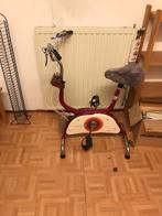 Hometrainer jaren 70, Sport en Fitness, Fitnessapparatuur, Ophalen, Gebruikt, Rug, Metaal