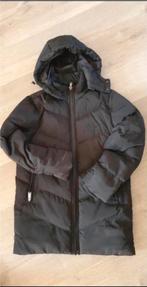 Malelions dames jas maat XXS, Ophalen, Nieuw, Maat 34 (XS) of kleiner, Zwart