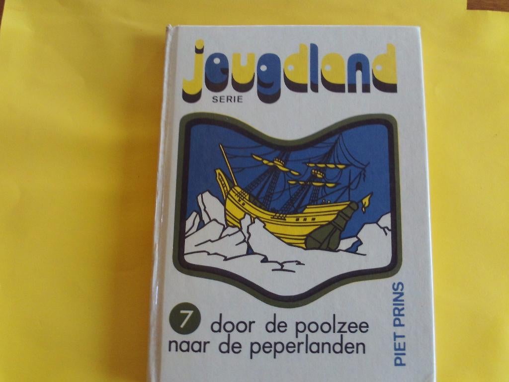 jeugdland - piet prins, Ophalen of Verzenden, Gelezen, Fictie algemeen
