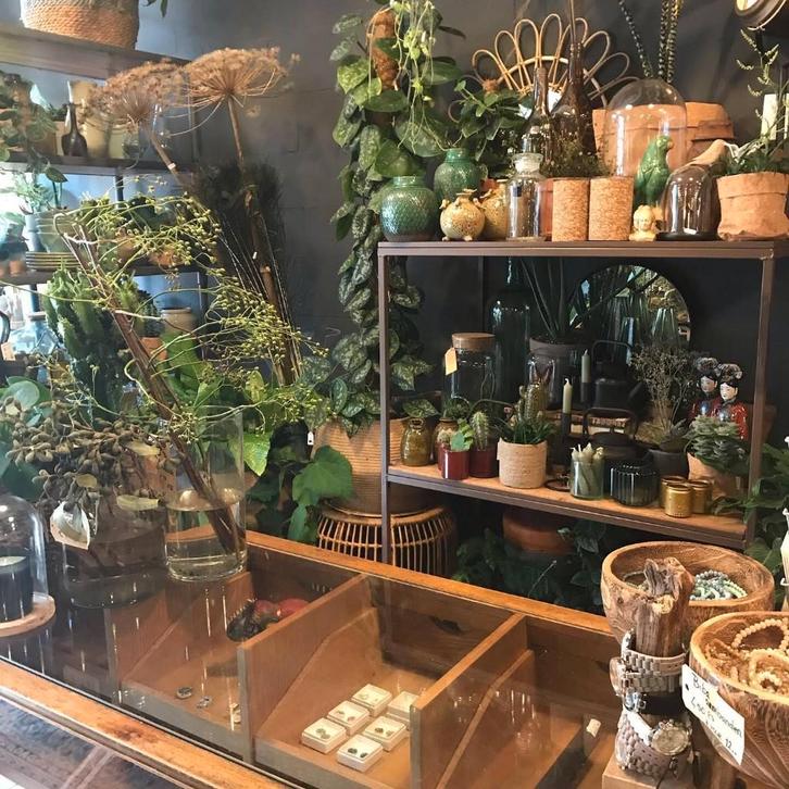 Bloemenwinkel ter overname, Zakelijke goederen, Exploitaties en Overnames