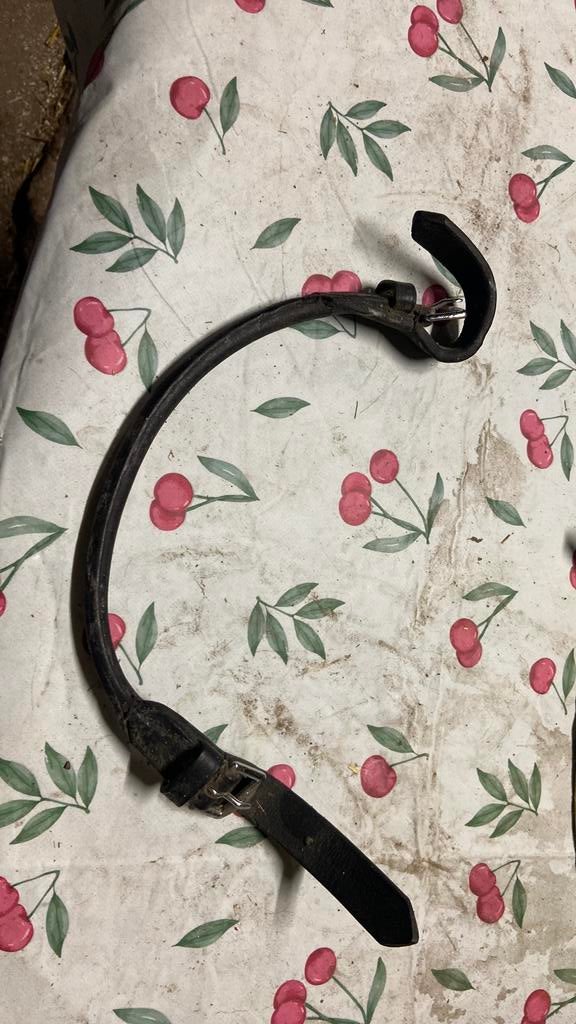 Bokriempje, Dieren en Toebehoren, Paarden en Pony's | Hoofdstellen en Tuigage, Ophalen of Verzenden, Gebruikt, Overige soorten